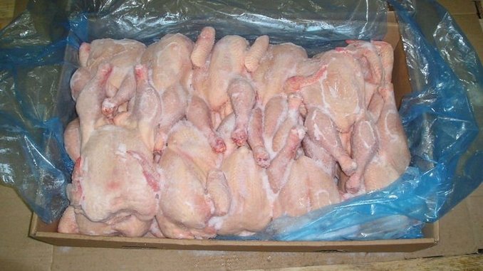 Could Frozen Chicken be the New Trend of Drug Smugglers in Europe?