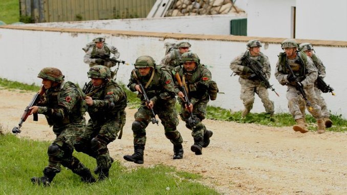 Could the Army Solve Albania’s Cannabis Problem?