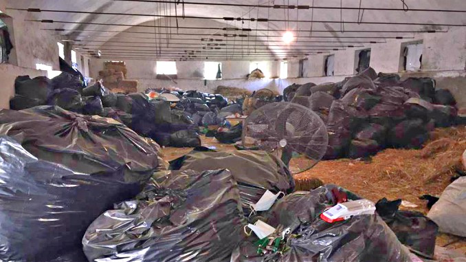 Several police officers dismissed over 12 tons of cannabis found in storage in southern Albania