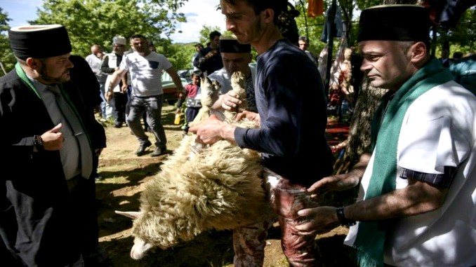 Sheep Slaughter and Gifts to Welcome Summer in Kosovo